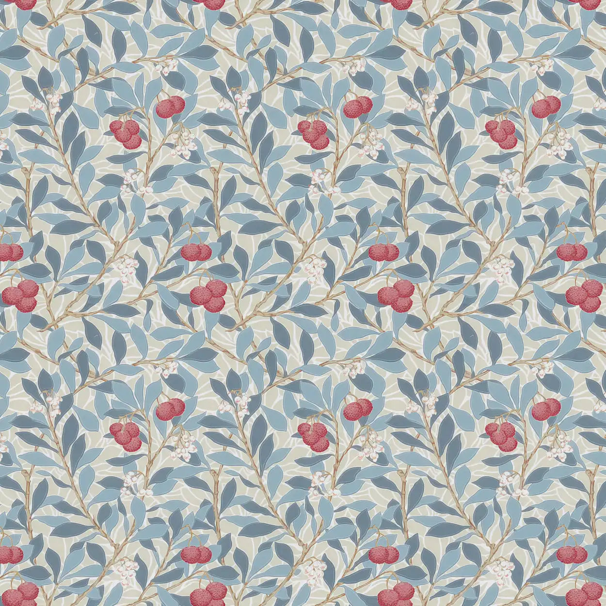 Lychee Botanical Print Canvas – Colorful Wall Art for Home & Office