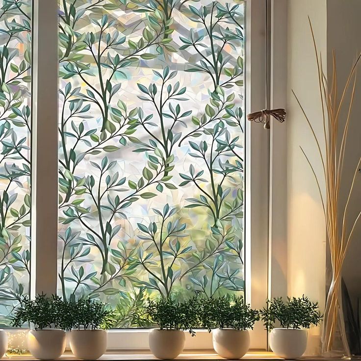 How Smart Window Films Can Revolutionize Your Home and Office!