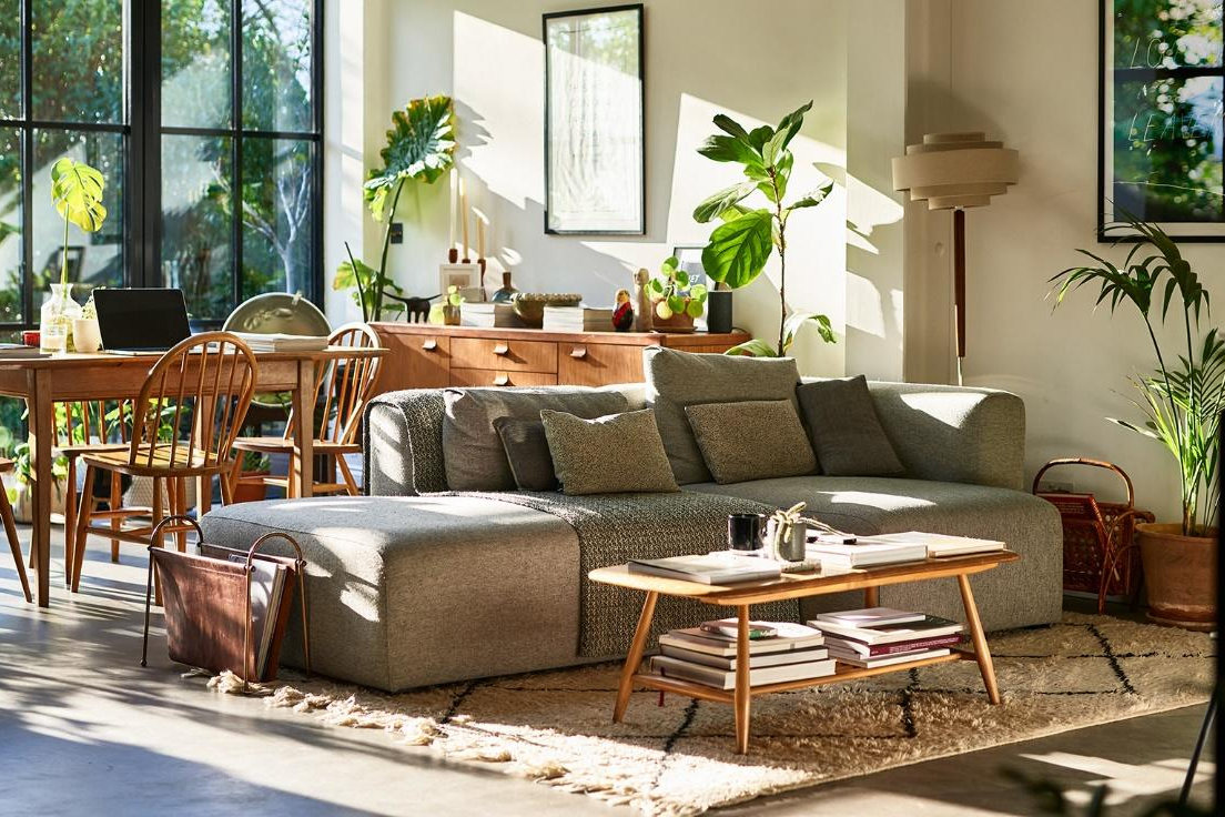 Create a Stress-Free Green Corner: No Watering, No Worries