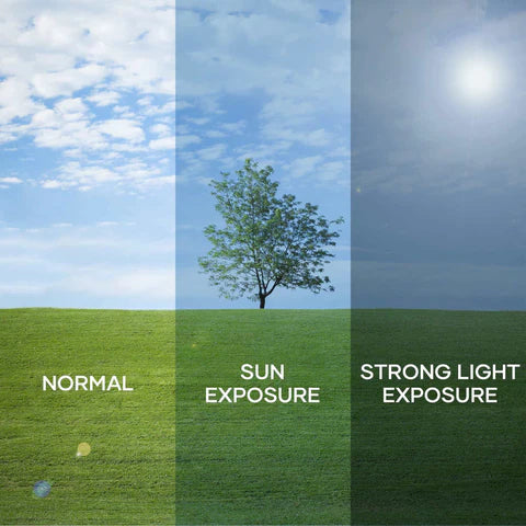 Protect Your Furniture and Floors with Solar Window Film