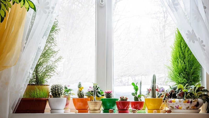 Creative Window Decoration Ideas: Transform Your Home with Light, Color & Style