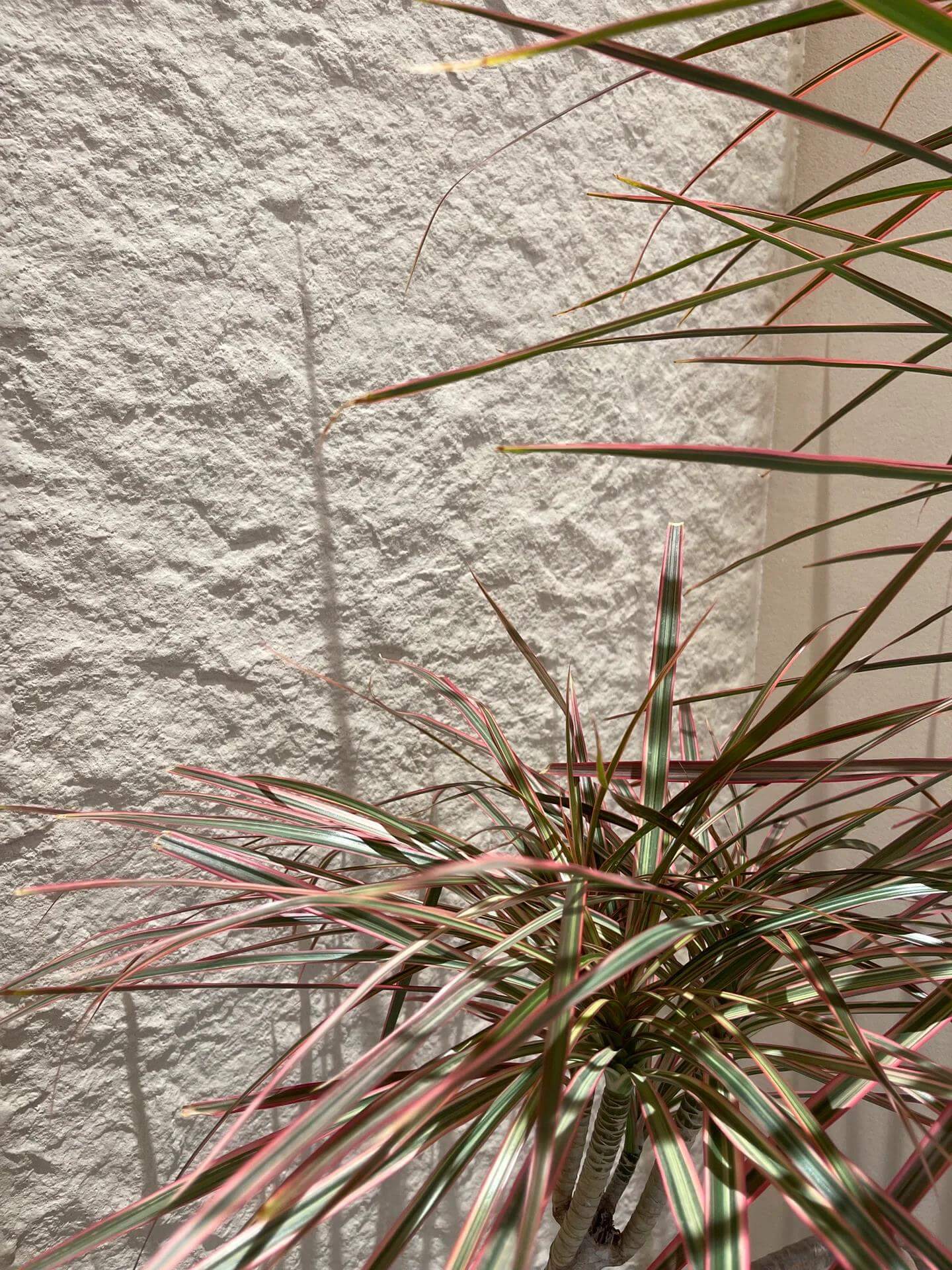 Transform Your Space with Flexible Wall Panels – Easy, Stylish, Durable - Flexible Stone - Starmoon Stone