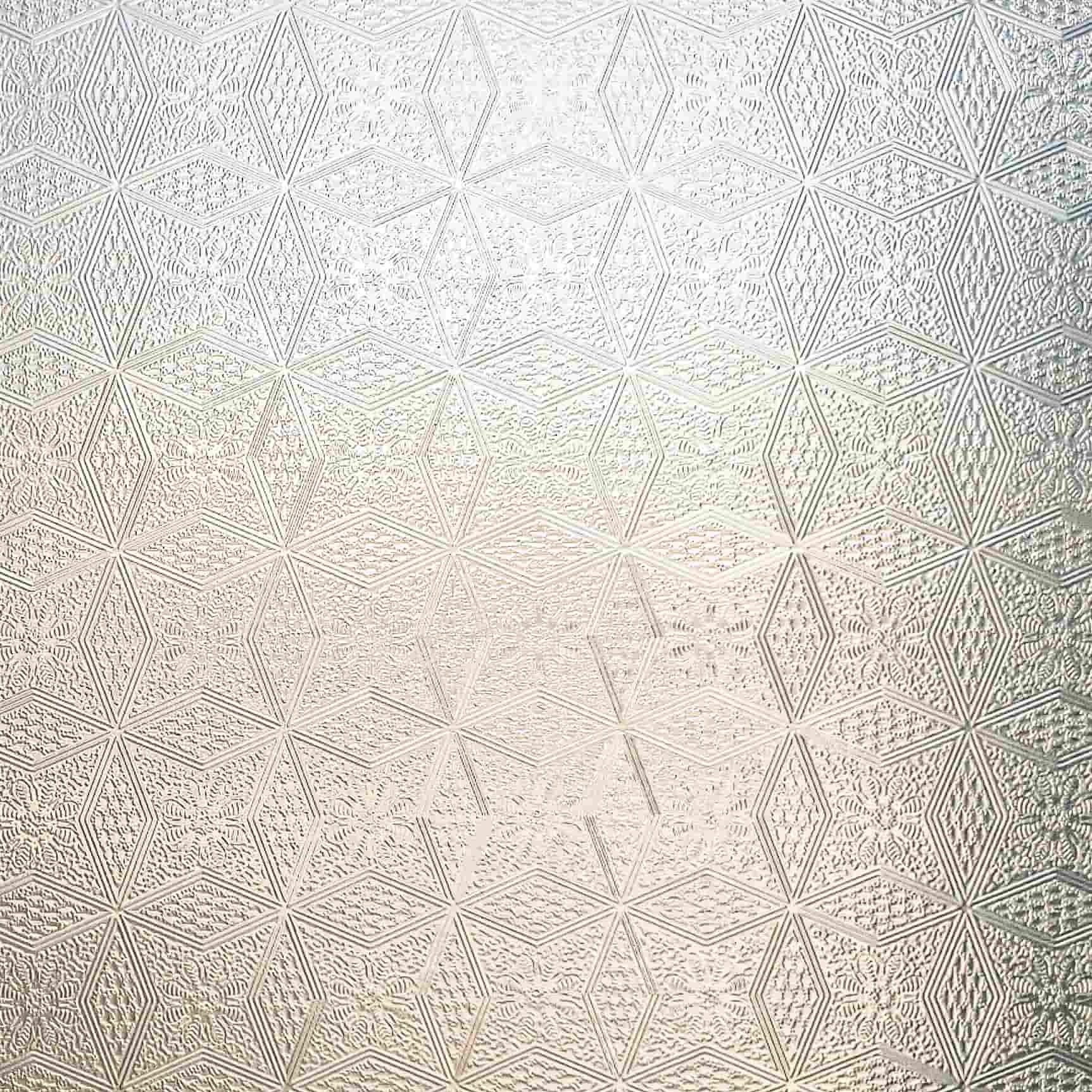 Film décoratif pour vitres Wildflower Dream