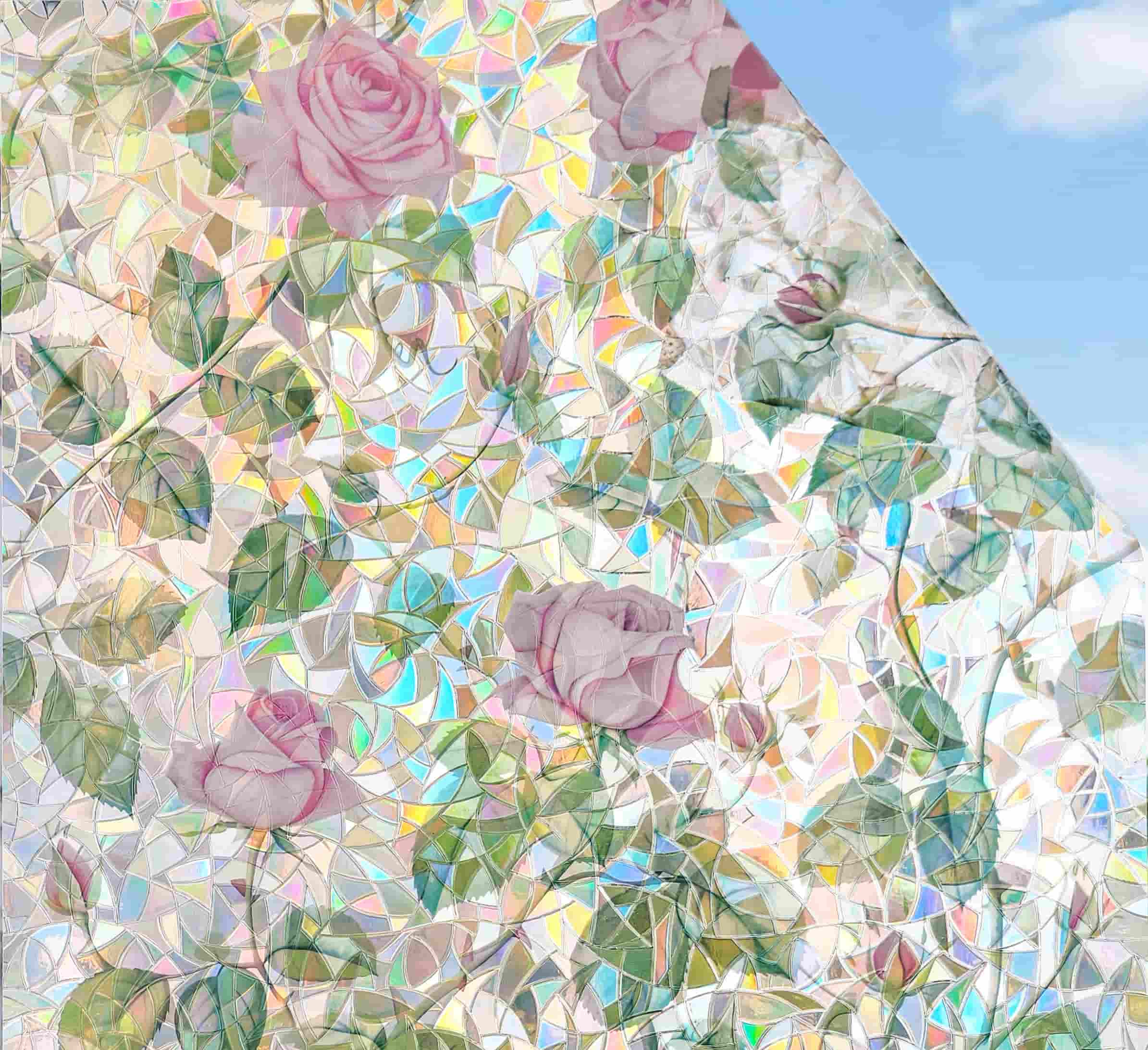 Film décoratif pour vitres Wildflower Dream