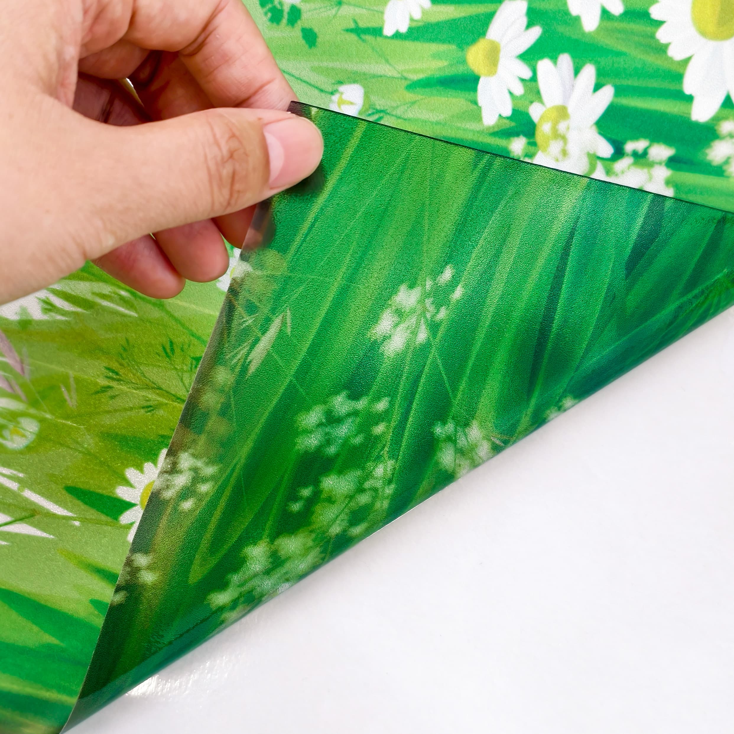 Film décoratif pour vitres Wildflower Dream