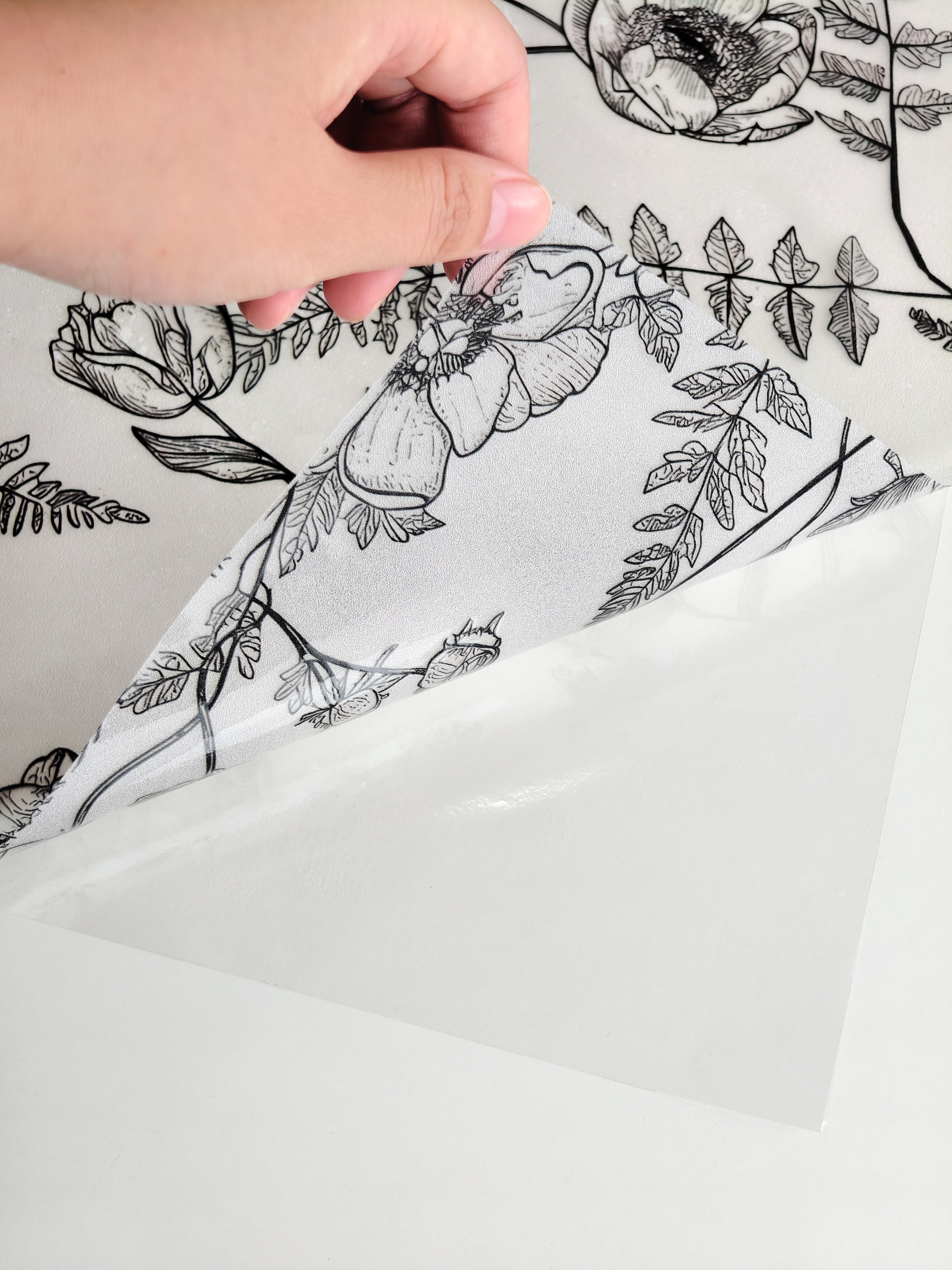 Film décoratif pour vitres Wildflower Dream