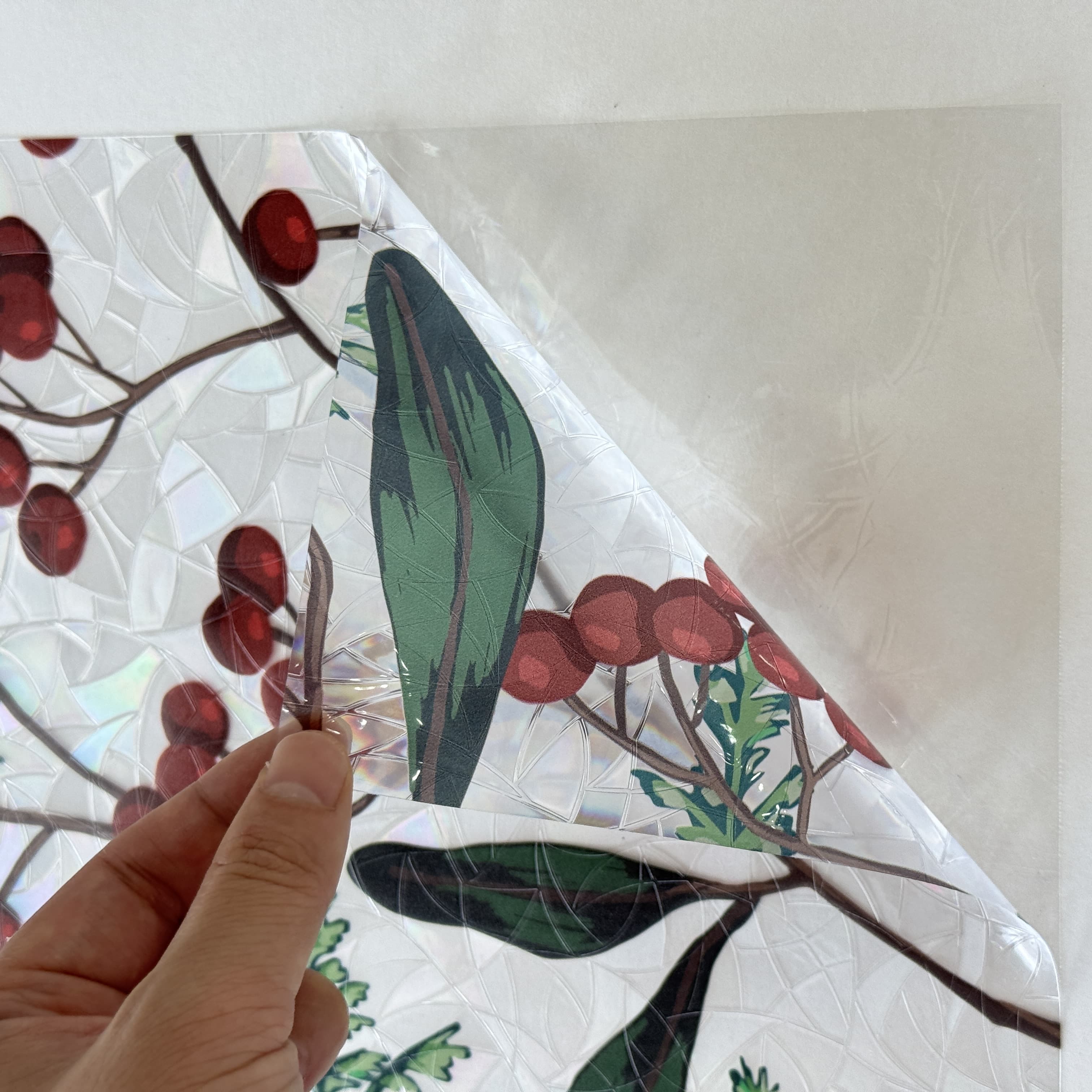 Film décoratif pour vitres Wildflower Dream